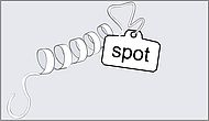 Spot-Tag for IP, protein purification & IF